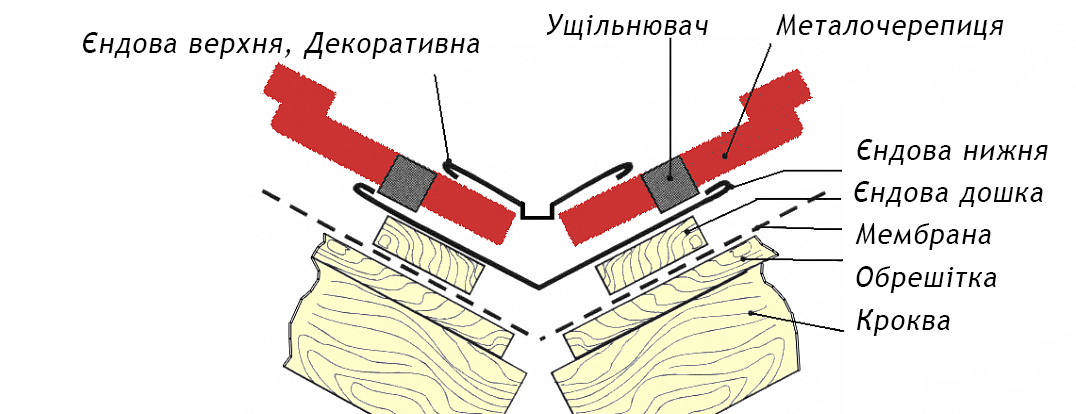 єндова нижня